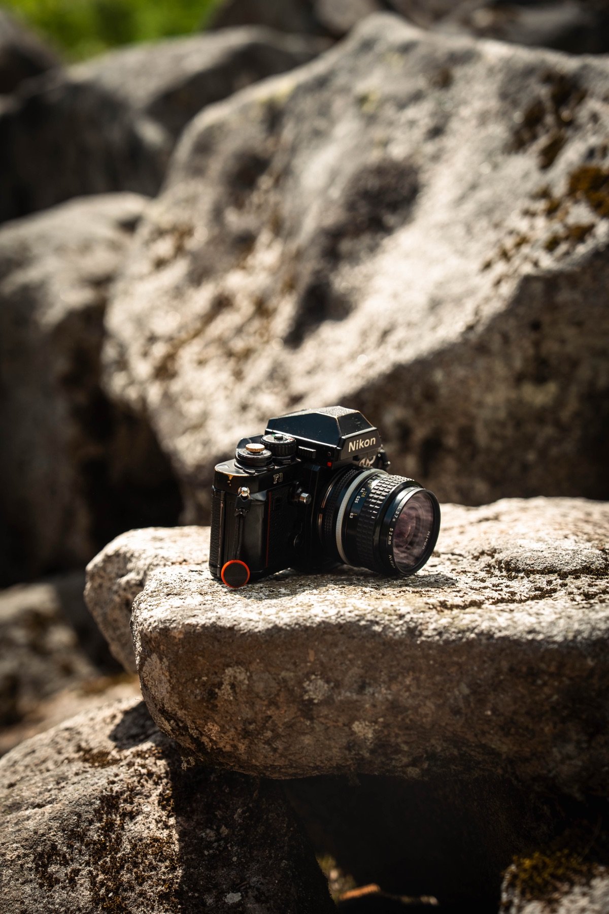 A camera resting on a fallen log in a forest, ready for a shot.